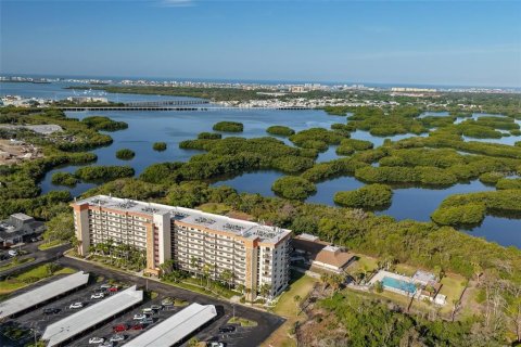 Condo à Saint Petersburg, Floride, 2 chambres № 2129295