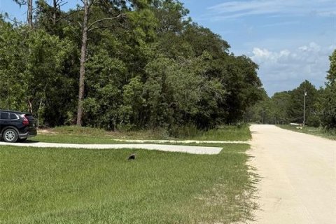 Land in Dunnellon, Florida № 1780752 - photo 17