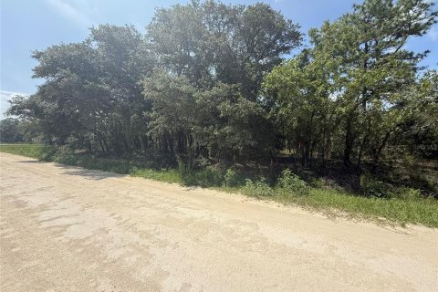 Land in Dunnellon, Florida № 1780752 - photo 2