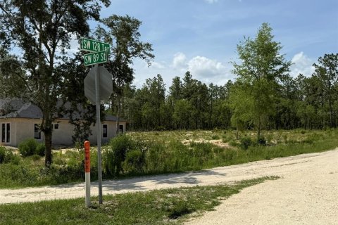 Land in Dunnellon, Florida № 1780752 - photo 7