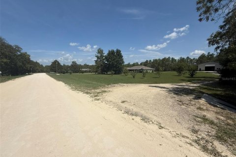 Land in Dunnellon, Florida № 1780752 - photo 25