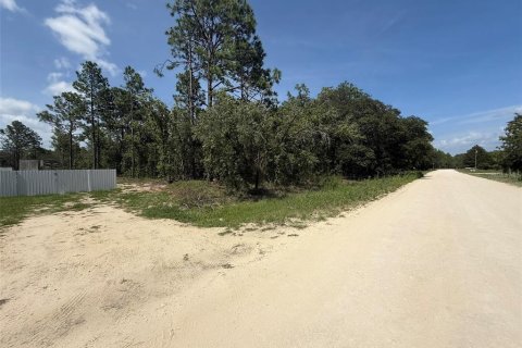 Land in Dunnellon, Florida № 1780752 - photo 3