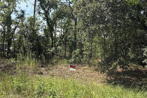 Land in Dunnellon, Florida № 1780752 - photo 20
