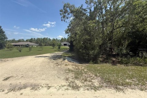 Land in Dunnellon, Florida № 1780752 - photo 26