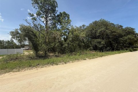 Land in Dunnellon, Florida № 1780752 - photo 4