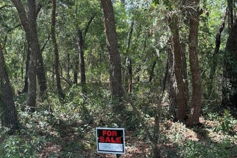 Land in Dunnellon, Florida № 1780752 - photo 12
