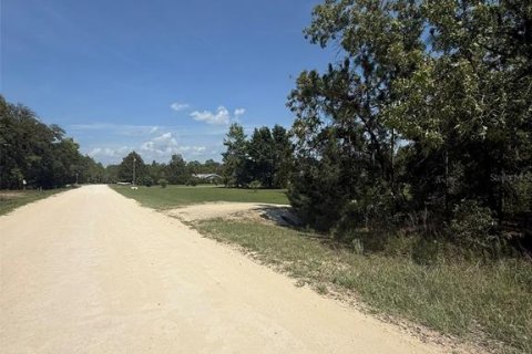 Land in Dunnellon, Florida № 1780752 - photo 9