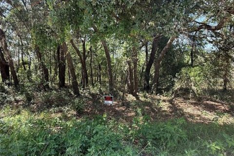 Land in Dunnellon, Florida № 1780752 - photo 13