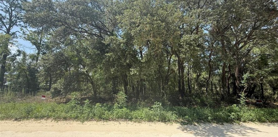 Land in Dunnellon, Florida № 1780752
