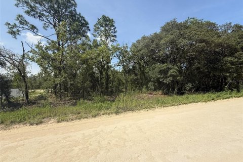 Land in Dunnellon, Florida № 1780752 - photo 5