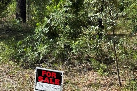 Land in Dunnellon, Florida № 1780752 - photo 14