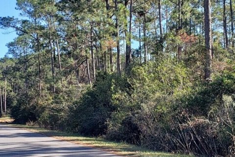 Terreno en venta en Navarre, Florida № 560398 - foto 1