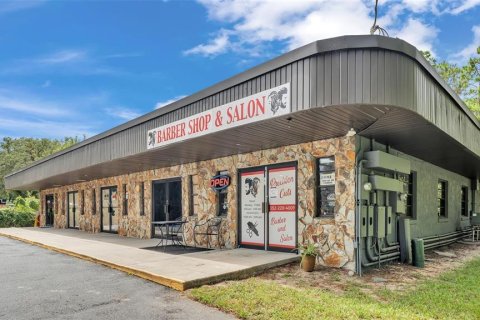 Commercial property in Crystal River, Florida 427.26 sq.m. № 1333877 - photo 4