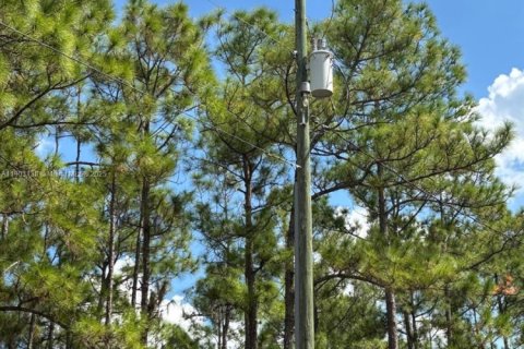 Terrain à vendre à Clewiston, Floride № 1954720 - photo 4