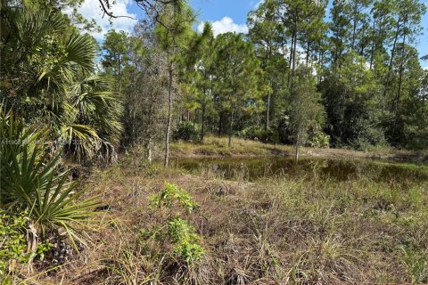 Terrain à vendre à Clewiston, Floride № 1954720 - photo 9