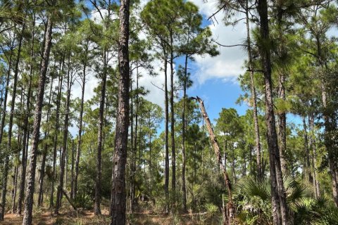 Terrain à vendre à Clewiston, Floride № 1954720 - photo 5