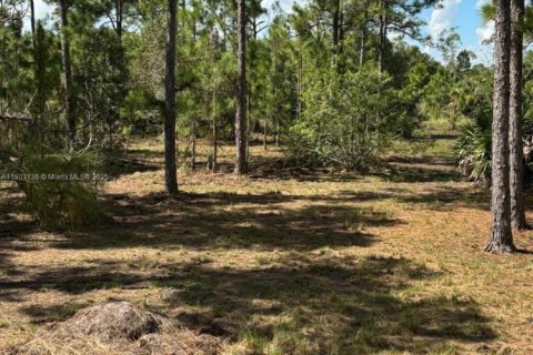 Terrain à vendre à Clewiston, Floride № 1954720 - photo 7