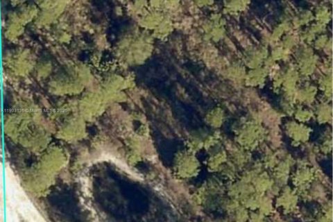 Terrain à vendre à Clewiston, Floride № 1954720 - photo 26