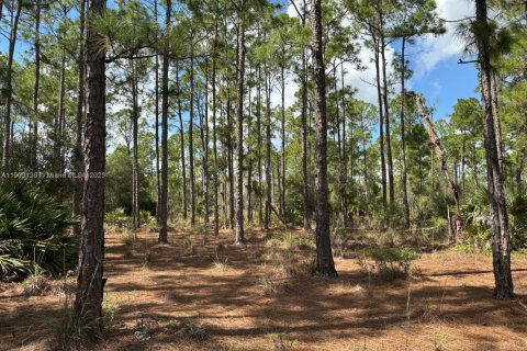 Terrain à vendre à Clewiston, Floride № 1954720 - photo 6