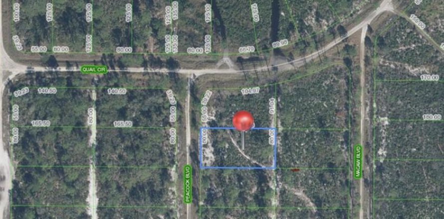 Land in Sebring, Florida № 2162744