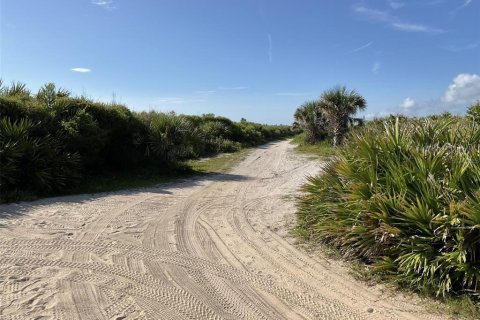 Villa ou maison à vendre à Palm Coast, Floride: 3 chambres, 153.85 m2 № 2203190 - photo 4