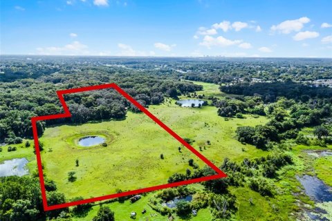 Terreno en venta en Orlando, Florida № 1917241 - foto 11