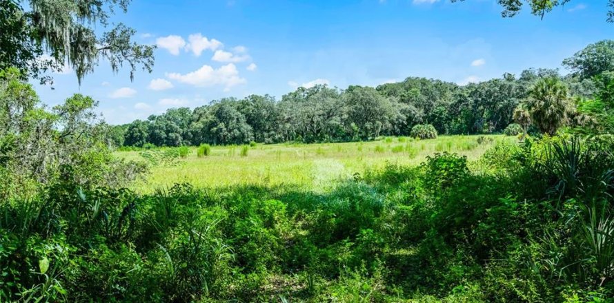Terrain à Orlando, Floride № 1917241