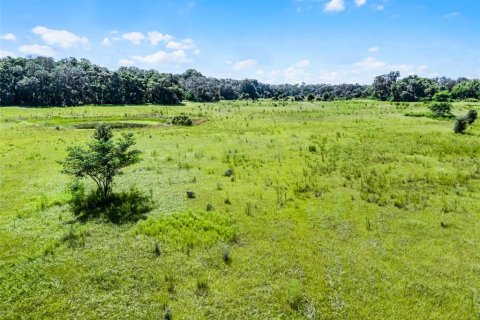 Terreno en venta en Orlando, Florida № 1917241 - foto 3