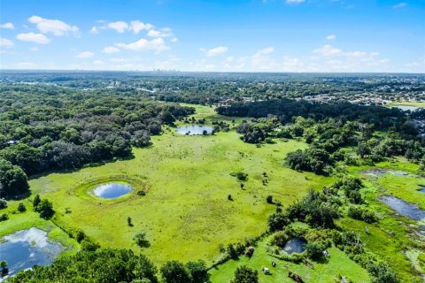 Terreno en venta en Orlando, Florida № 1917241 - foto 9