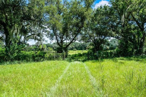 Terreno en venta en Orlando, Florida № 1917241 - foto 2