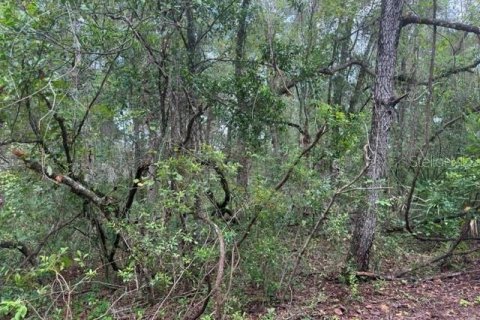 Land in Inverness, Florida № 2342002