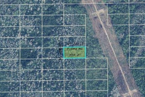 Land in Orlando, Florida № 2218796 - photo 2