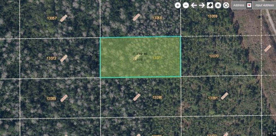 Land in Orlando, Florida № 2218796