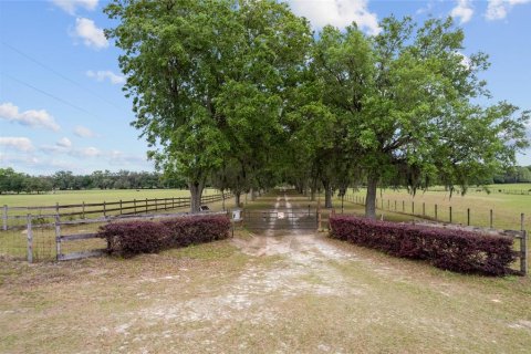 Casa en venta en Dunnellon, Florida, 3 dormitorios, 173.91 m2 № 1631514 - foto 4
