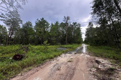 Купить земельный участок в Форт Маккой, Флорида № 2161418 - фото 3