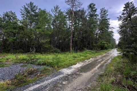 Купить земельный участок в Форт Маккой, Флорида № 2161418 - фото 2