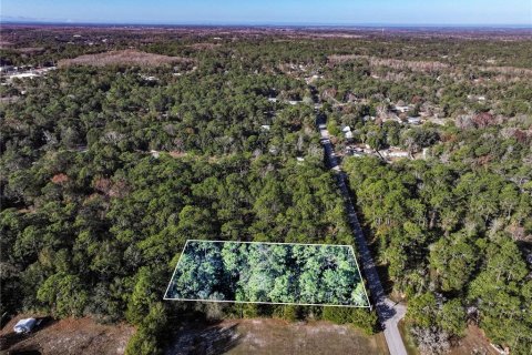 Land in Homosassa, Florida № 2163634 - photo 2