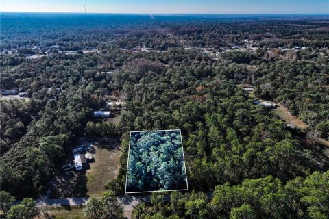 Land in Homosassa, Florida № 2163634 - photo 9
