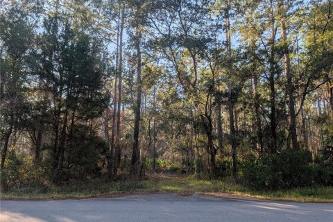 Land in Homosassa, Florida № 2163634 - photo 4