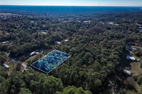 Land in Homosassa, Florida № 2163634 - photo 3