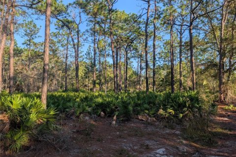 Land in Homosassa, Florida № 2163634 - photo 7