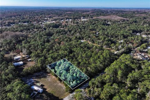 Land in Homosassa, Florida № 2163634