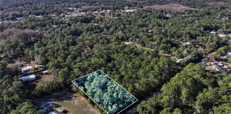 Land in Homosassa, Florida № 2163634