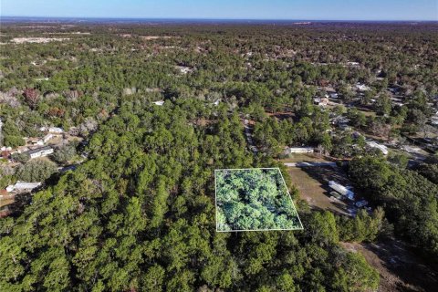 Land in Homosassa, Florida № 2163634 - photo 8