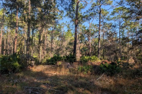 Land in Homosassa, Florida № 2163634 - photo 6