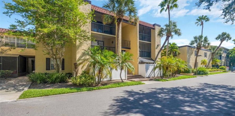Condo à Tampa, Floride, 1 chambre  № 1918002