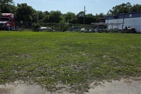Terreno en venta en Ocala, Florida № 1742678 - foto 2