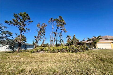 Terreno en Rotonda, Florida № 2104277