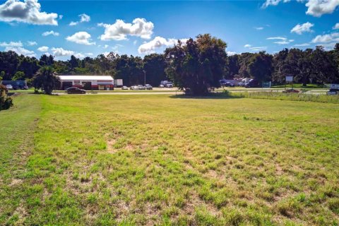Terreno en venta en Inverness, Florida № 1255023 - foto 2