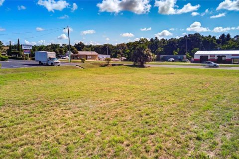 Terreno en venta en Inverness, Florida № 1255023 - foto 4